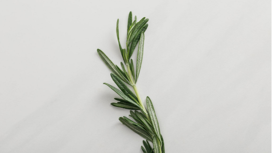 rosemary
